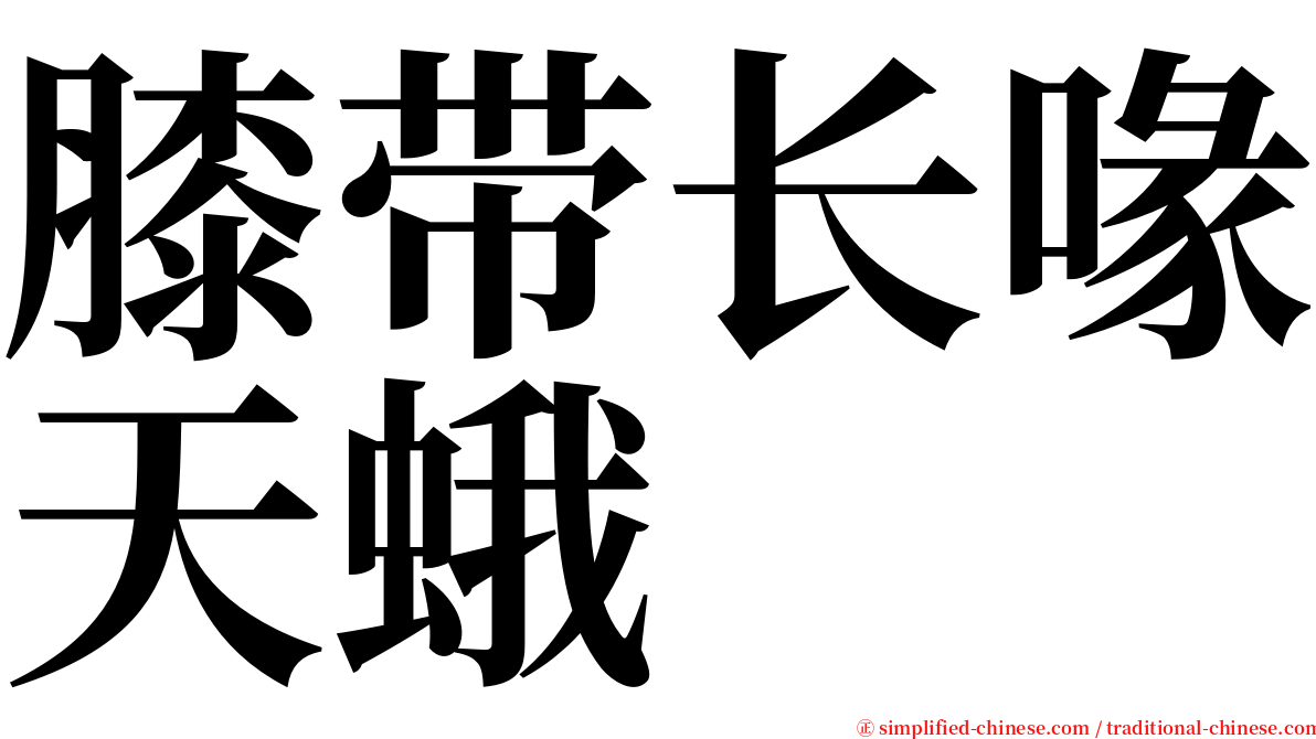 膝带长喙天蛾 serif font