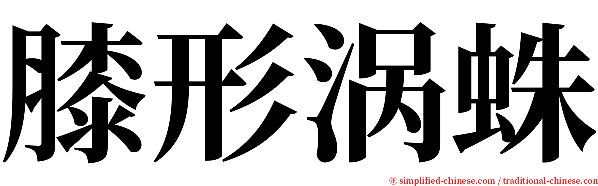 膝形涡蛛 serif font