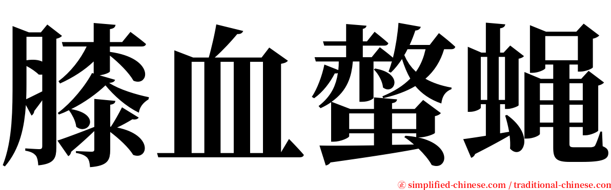 膝血螫蝇 serif font