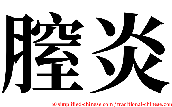 膣炎 serif font