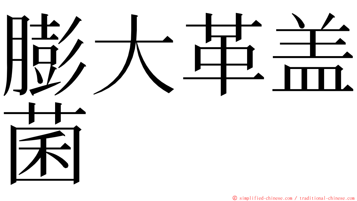 膨大革盖菌 ming font