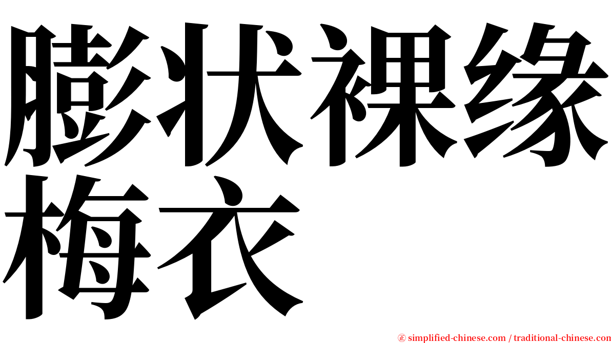 膨状裸缘梅衣 serif font