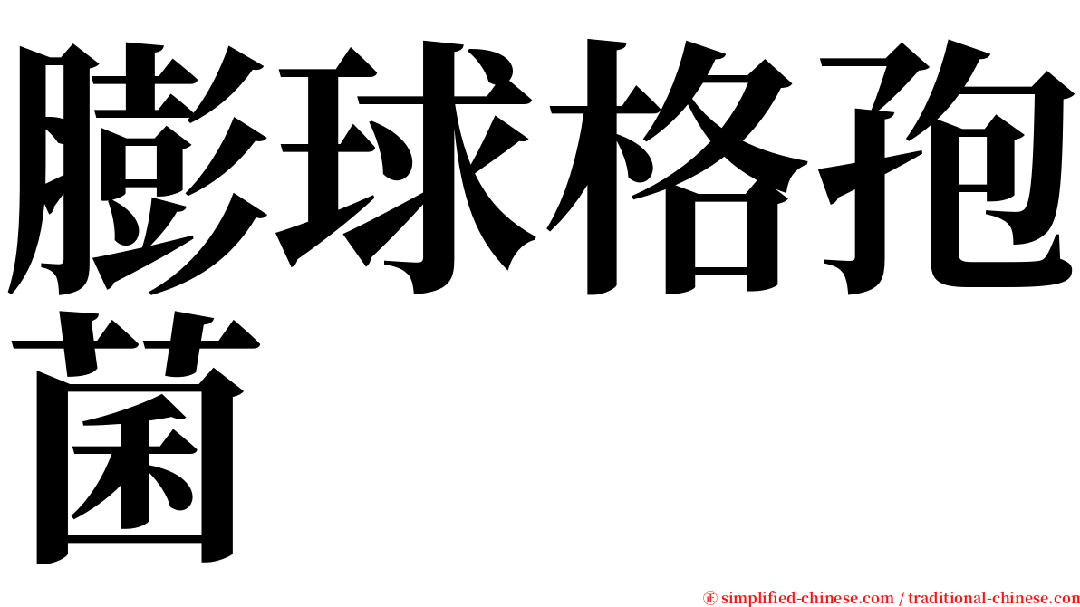 膨球格孢菌 serif font