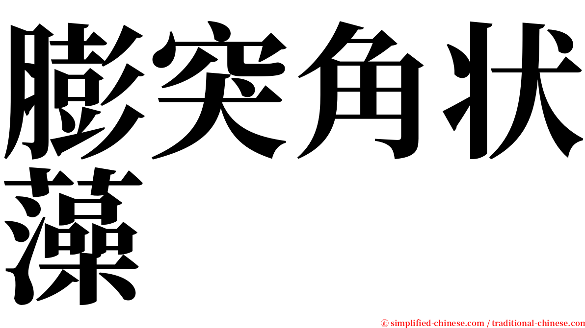 膨突角状藻 serif font