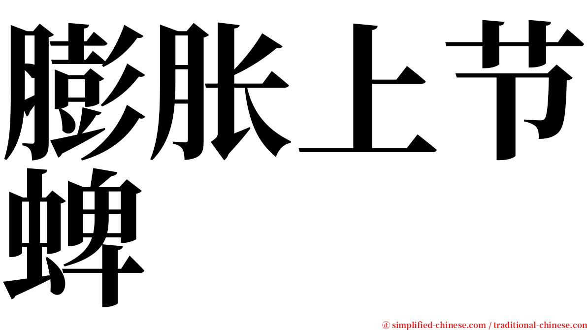 膨胀上节蜱 serif font