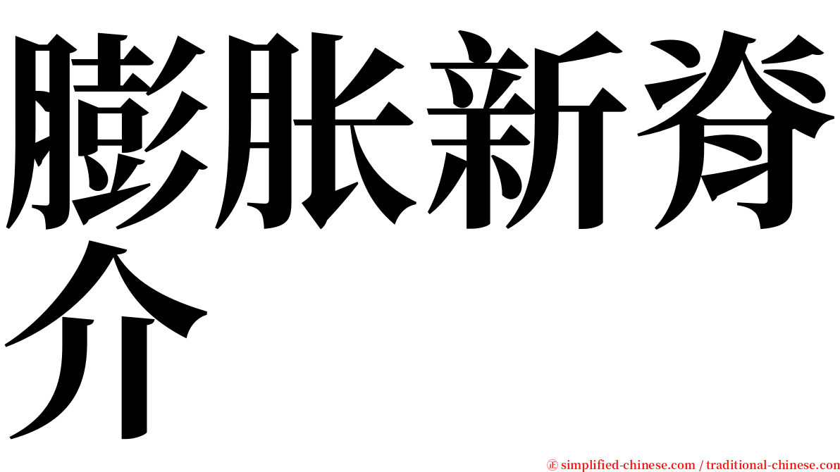 膨胀新脊介 serif font