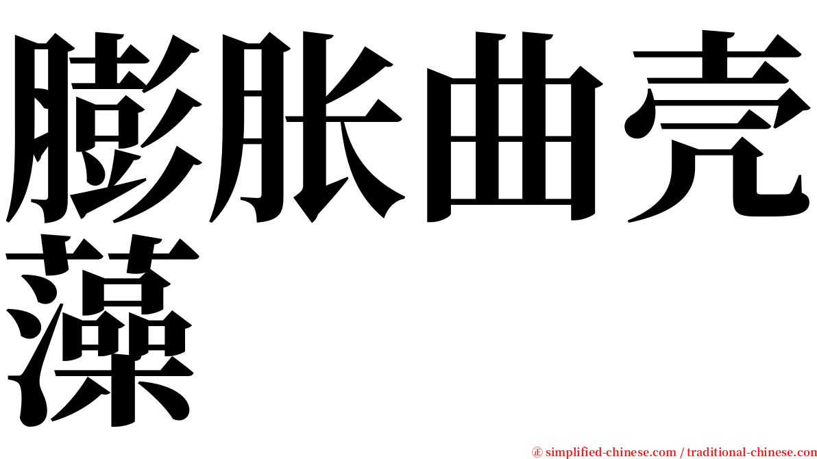 膨胀曲壳藻 serif font