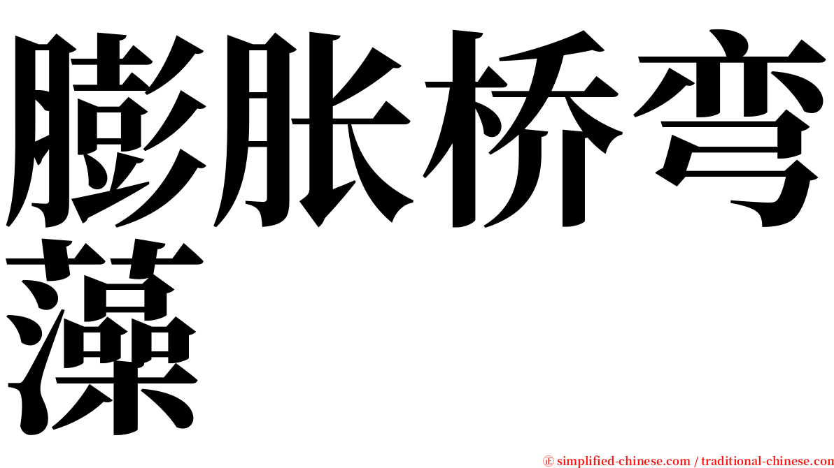 膨胀桥弯藻 serif font