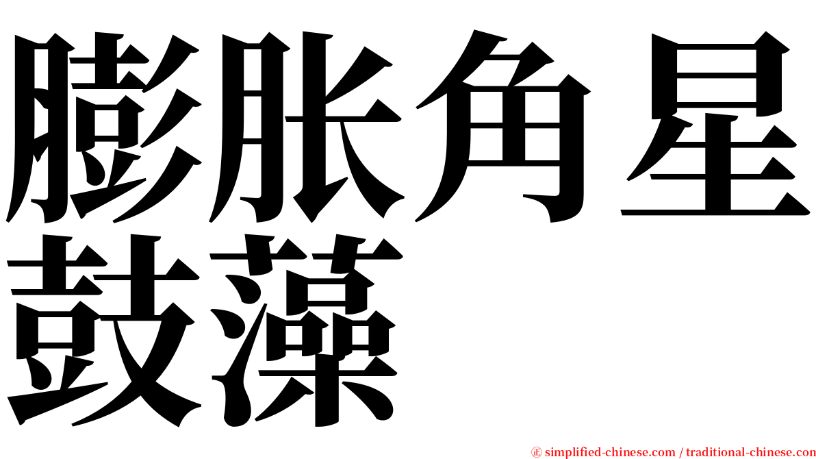 膨胀角星鼓藻 serif font