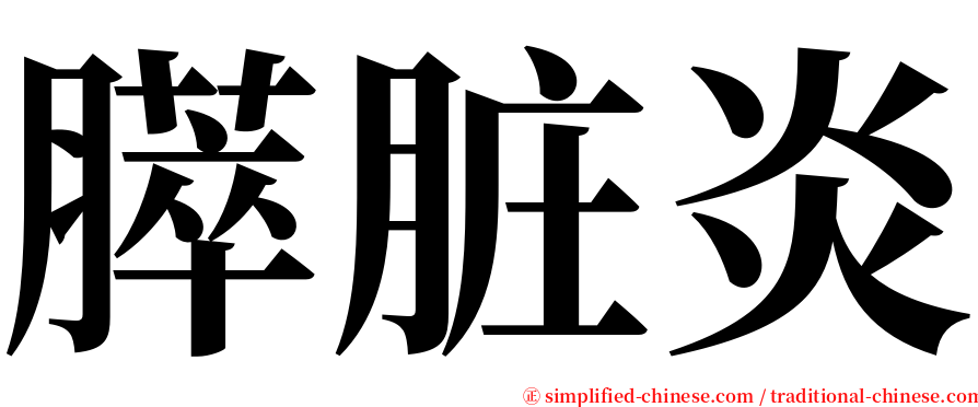 膵脏炎 serif font