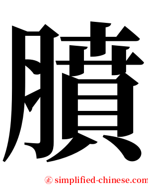 膹 serif font