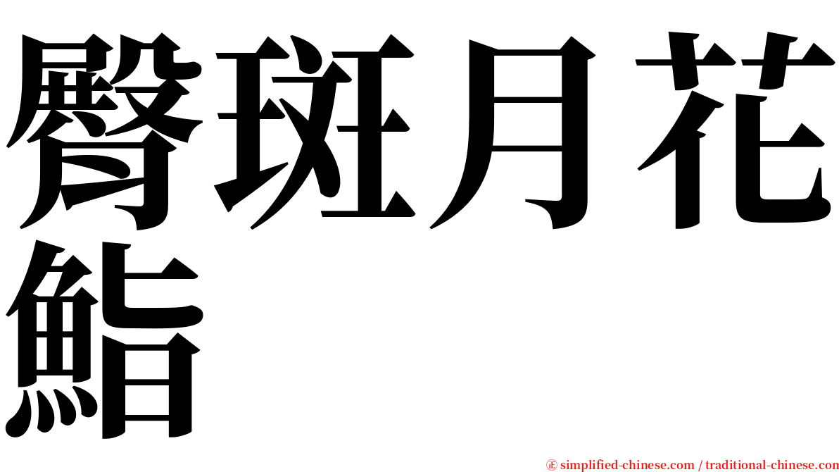 臀斑月花鮨 serif font