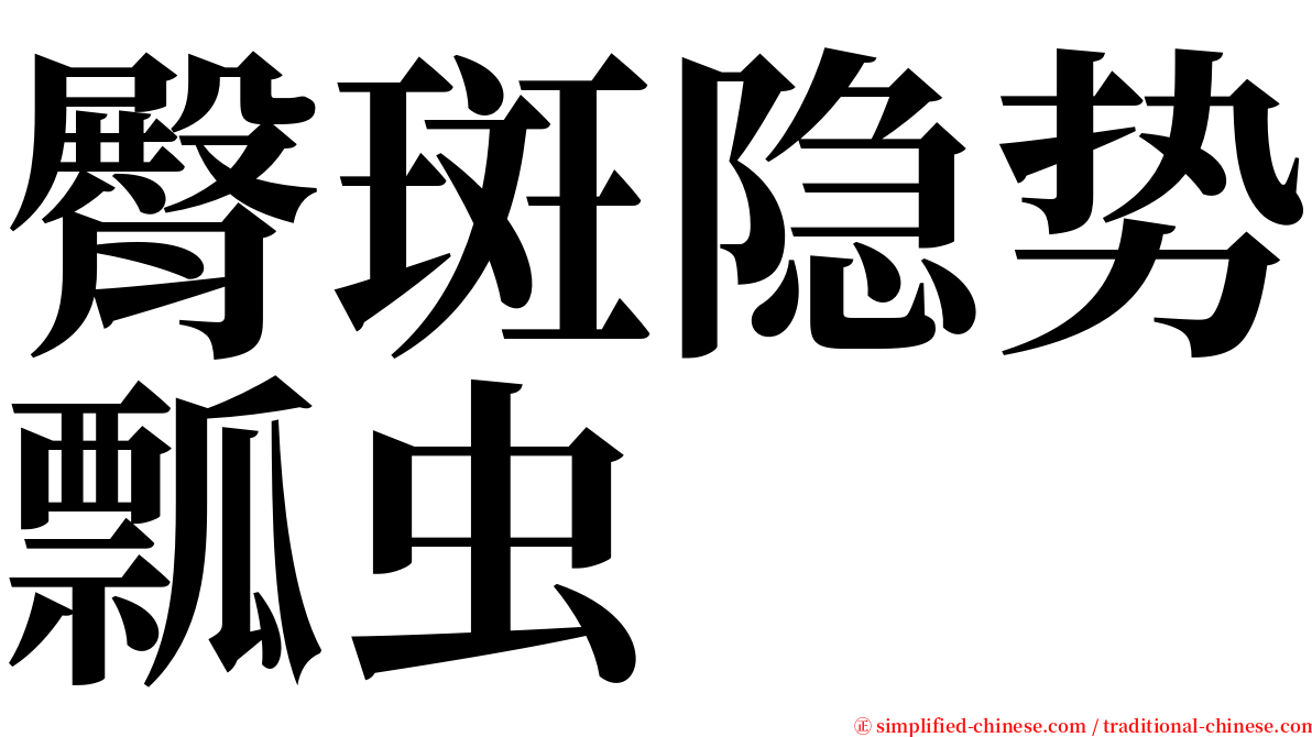 臀斑隐势瓢虫 serif font