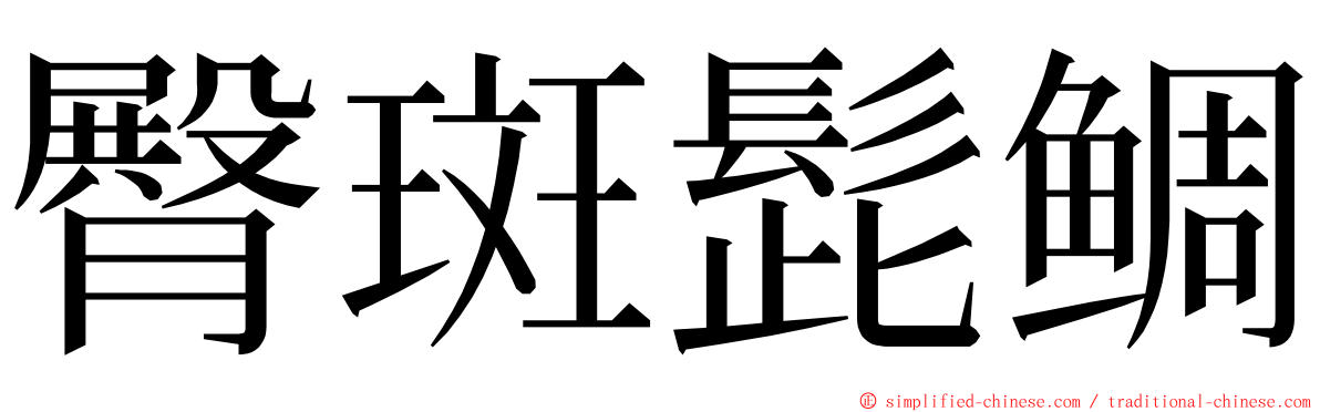 臀斑髭鲷 ming font