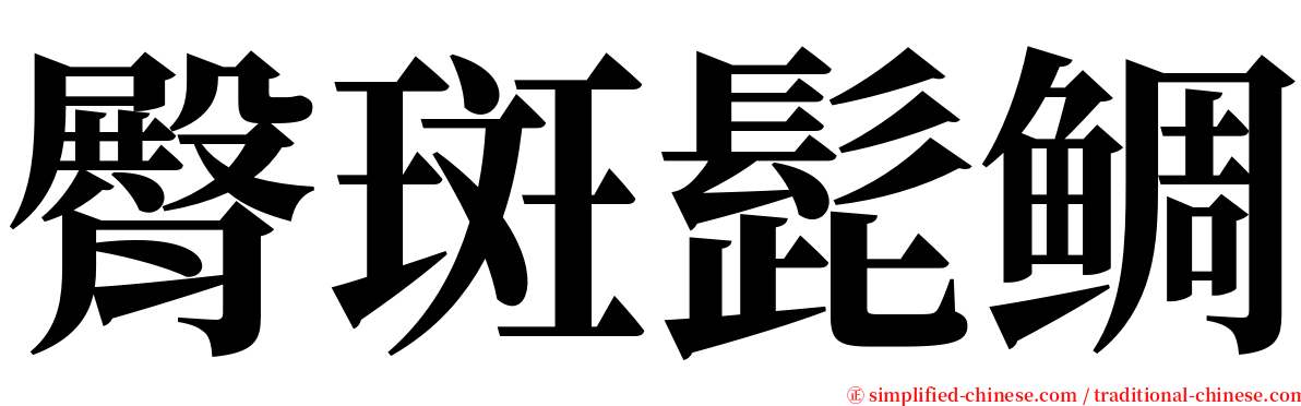 臀斑髭鲷 serif font