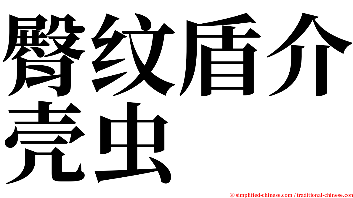 臀纹盾介壳虫 serif font