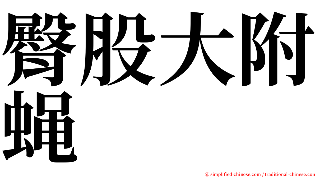 臀股大附蝇 serif font