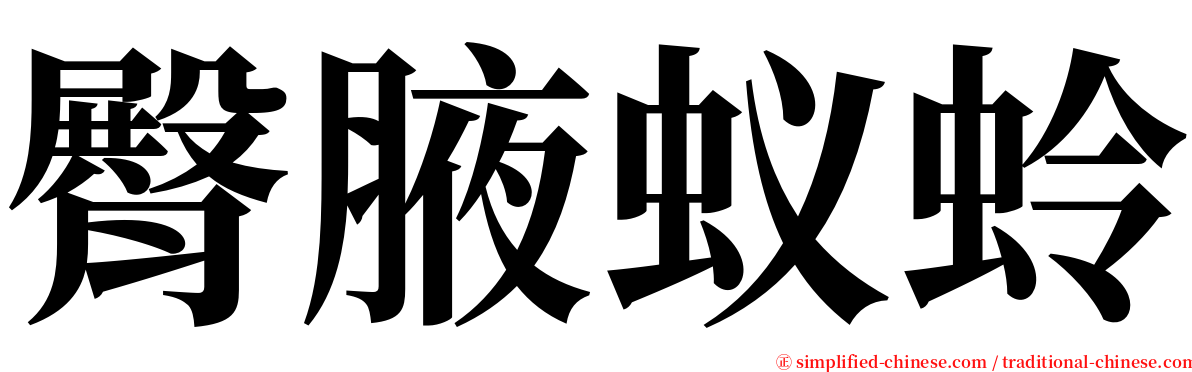 臀腋蚁蛉 serif font