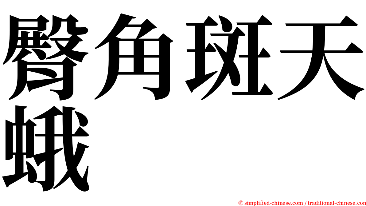 臀角斑天蛾 serif font