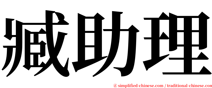 臧助理 serif font