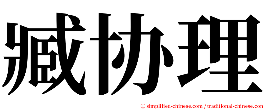 臧协理 serif font