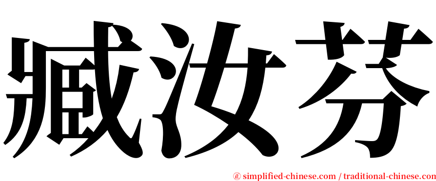 臧汝芬 serif font