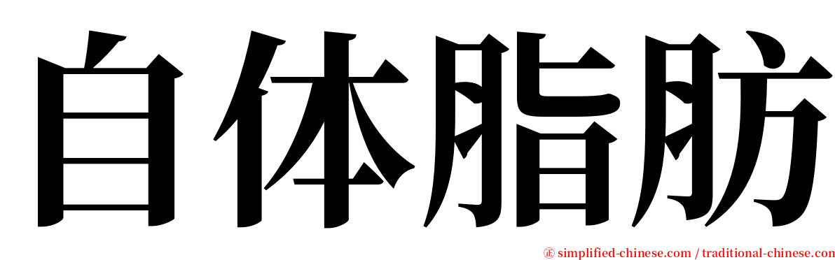 自体脂肪 serif font