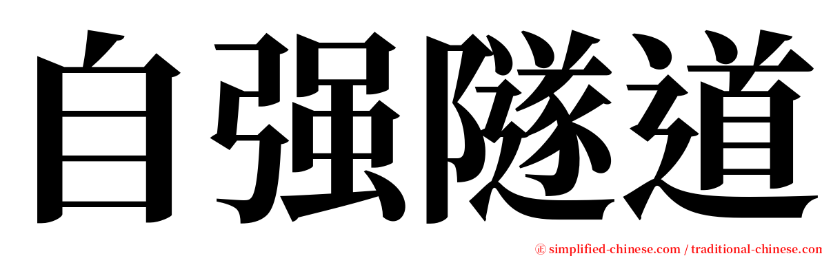 自强隧道 serif font