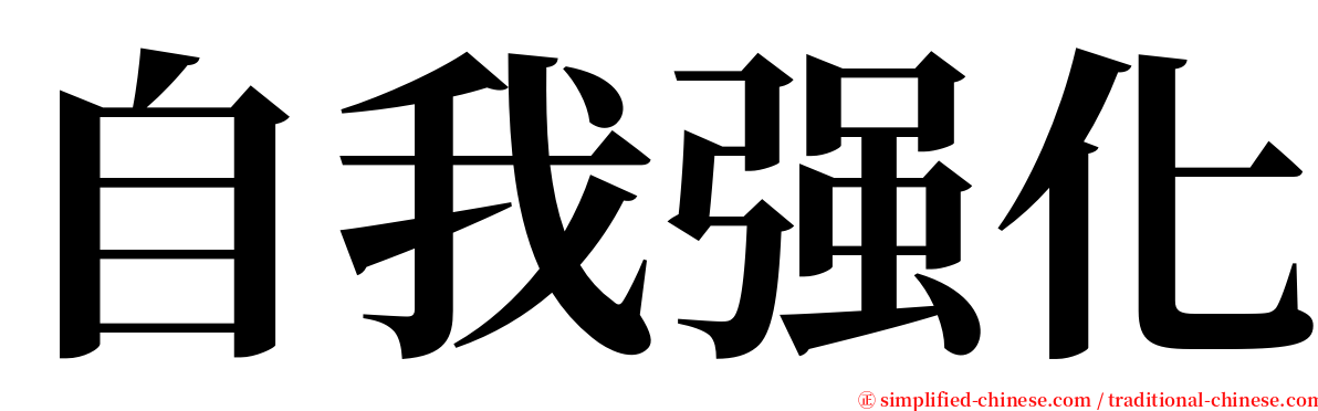 自我强化 serif font