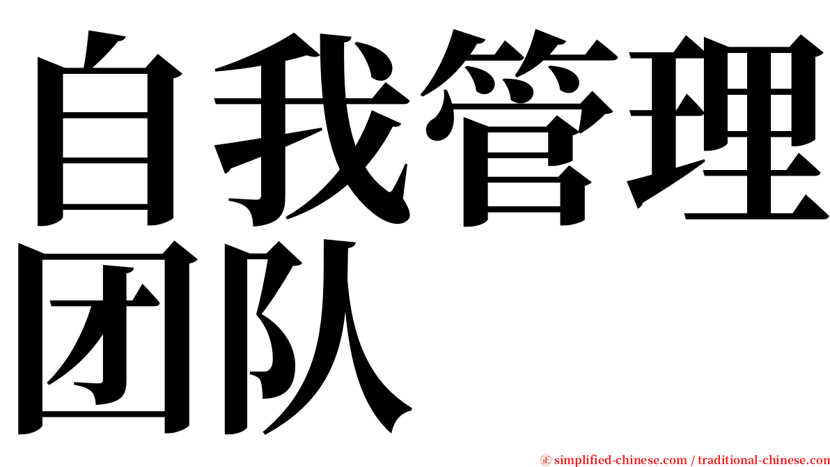 自我管理团队 serif font