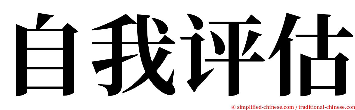 自我评估 serif font