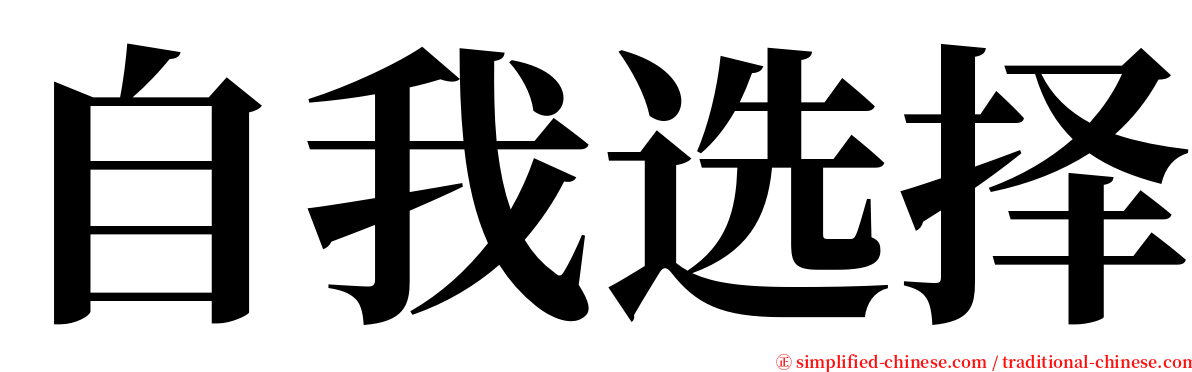 自我选择 serif font