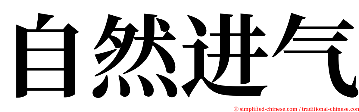 自然进气 serif font