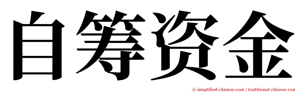 自筹资金 serif font