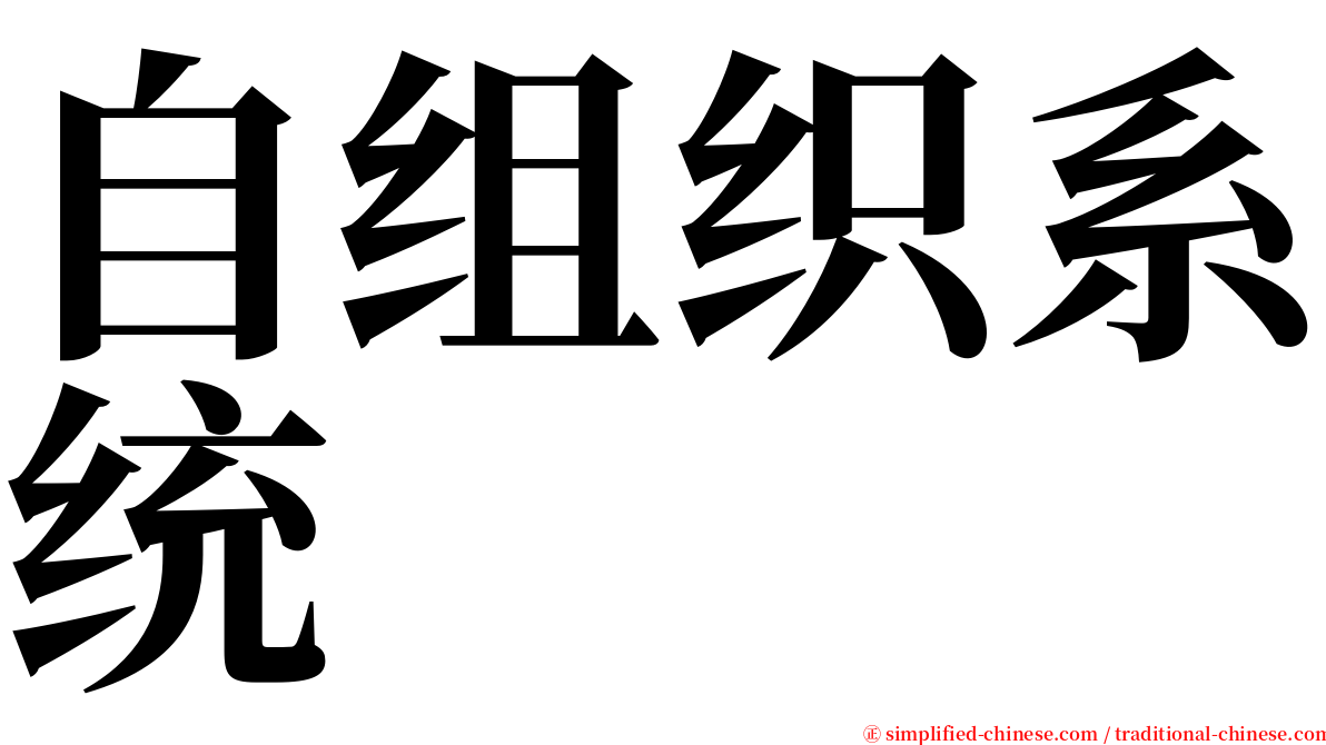 自组织系统 serif font