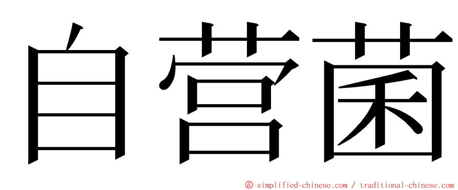自营菌 ming font