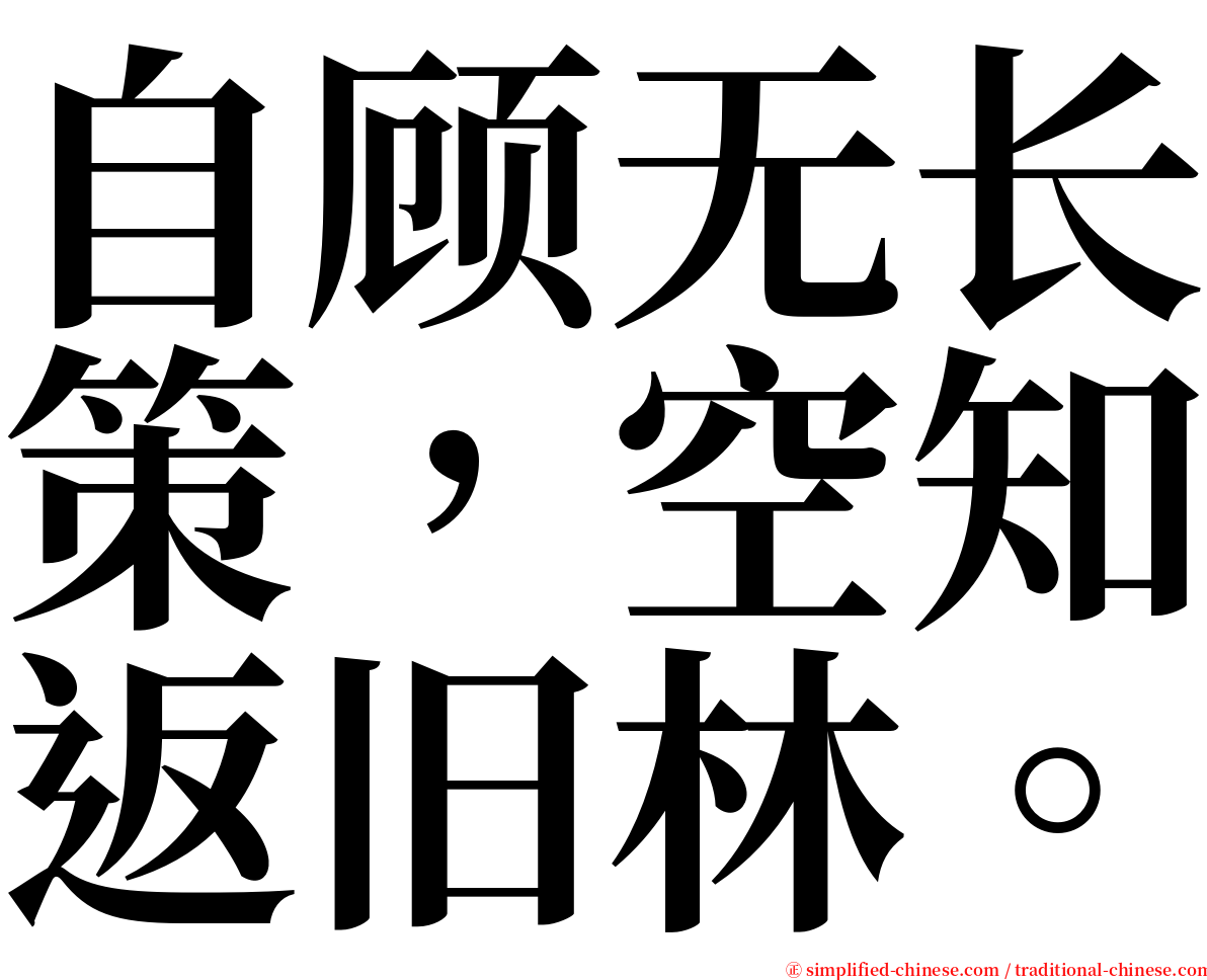 自顾无长策，空知返旧林。 serif font