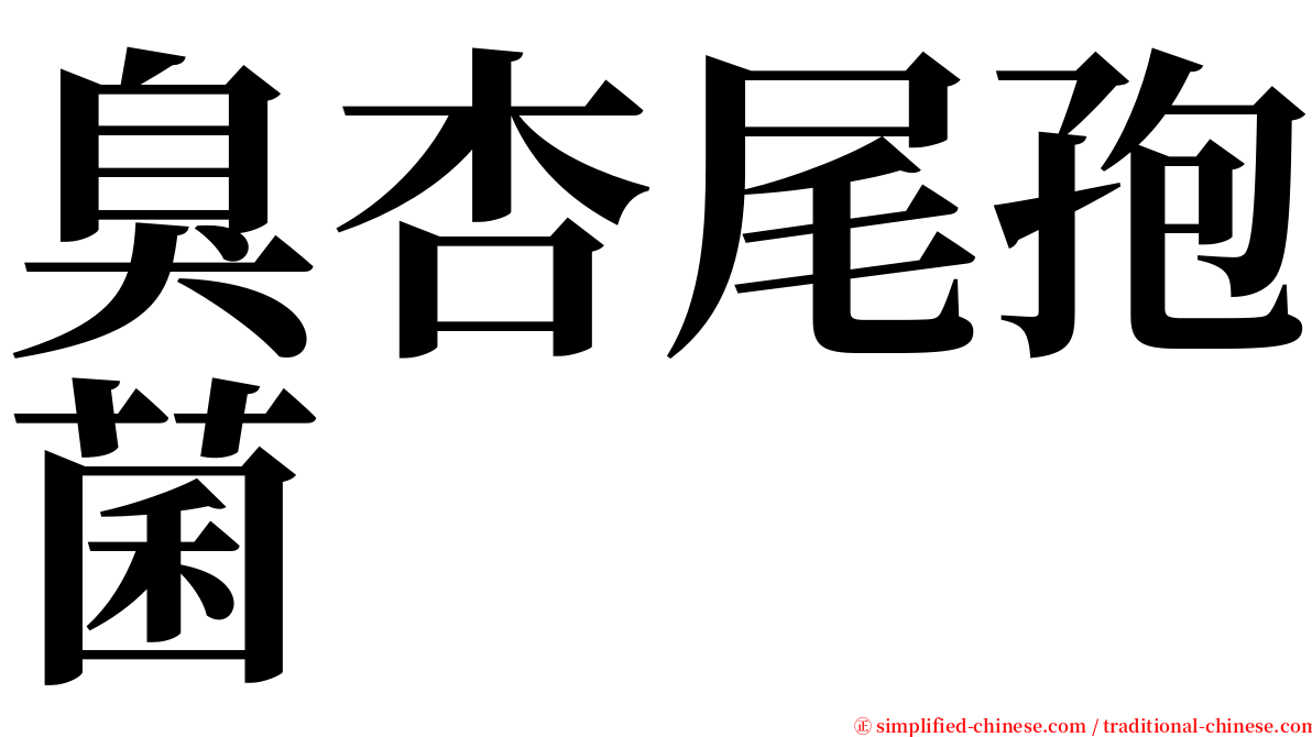 臭杏尾孢菌 serif font