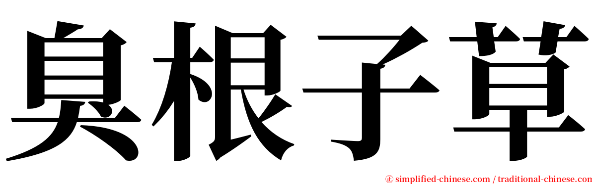 臭根子草 serif font