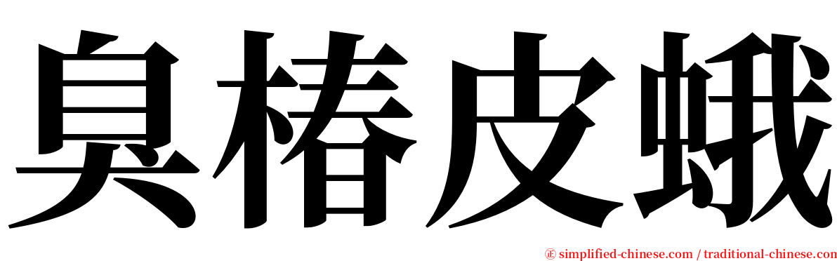 臭椿皮蛾 serif font