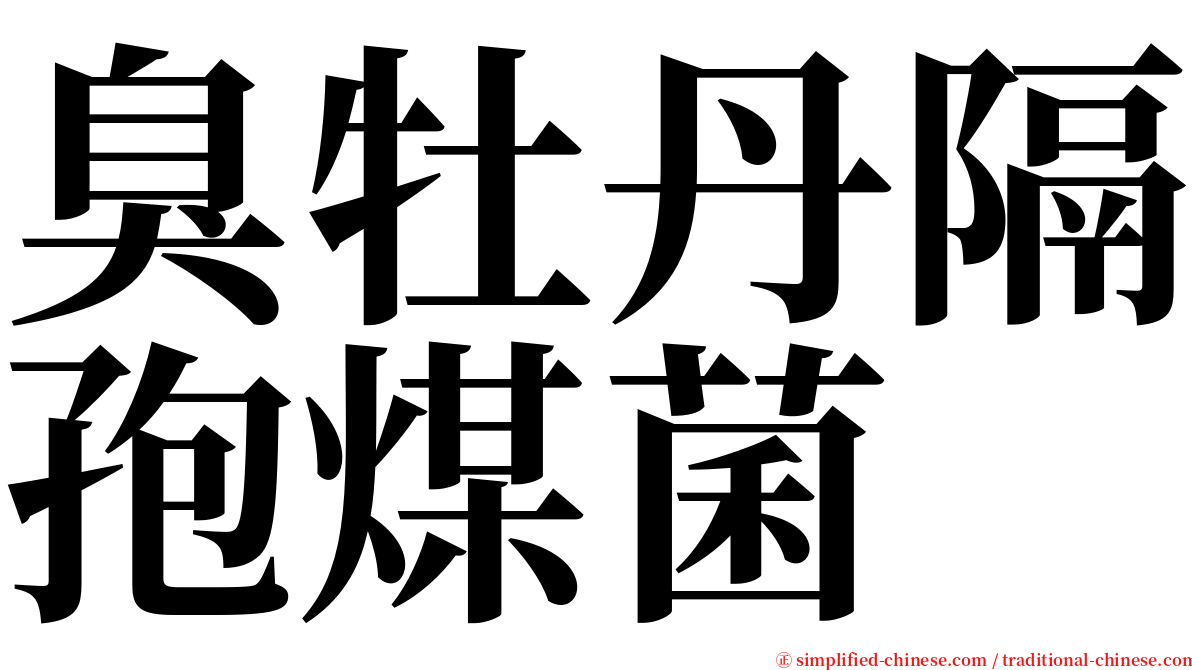 臭牡丹隔孢煤菌 serif font