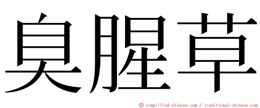 臭腥草 ming font