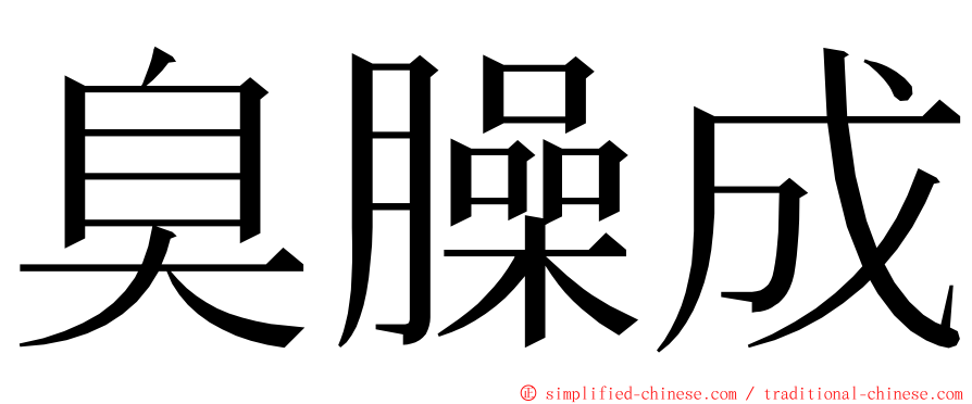 臭臊成 ming font