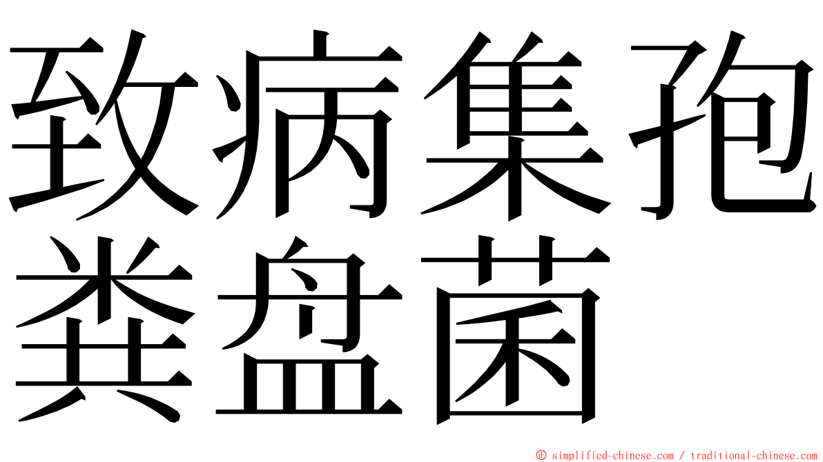 致病集孢粪盘菌 ming font