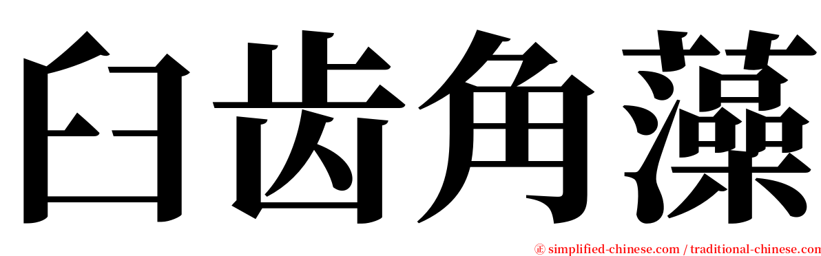 臼齿角藻 serif font