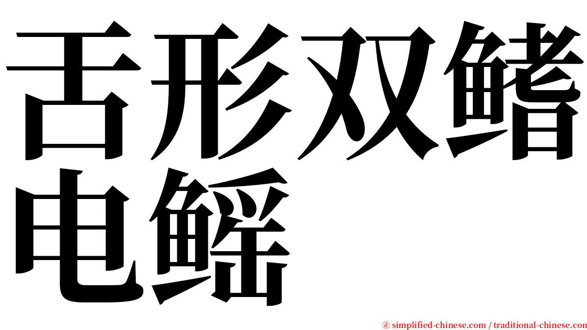 舌形双鳍电鳐 serif font