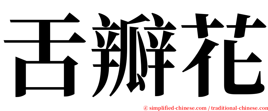 舌瓣花 serif font