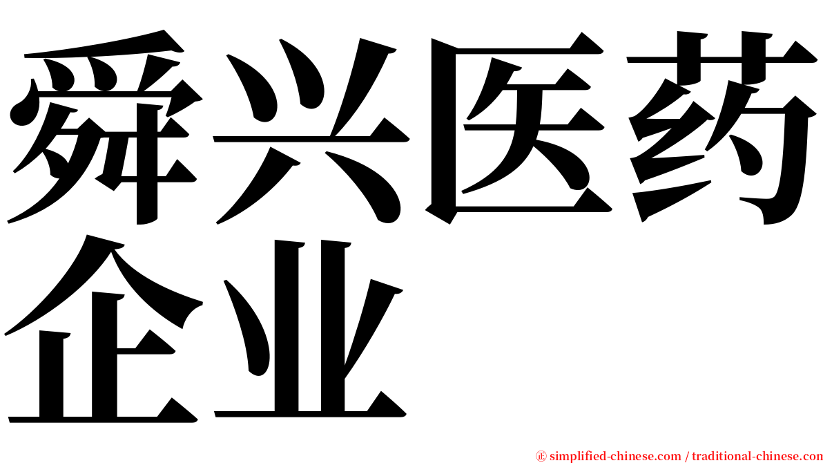 舜兴医药企业 serif font