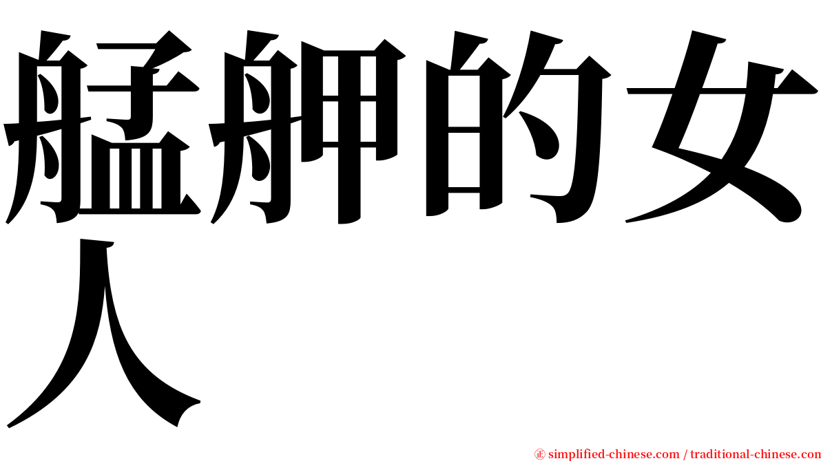 艋舺的女人 serif font