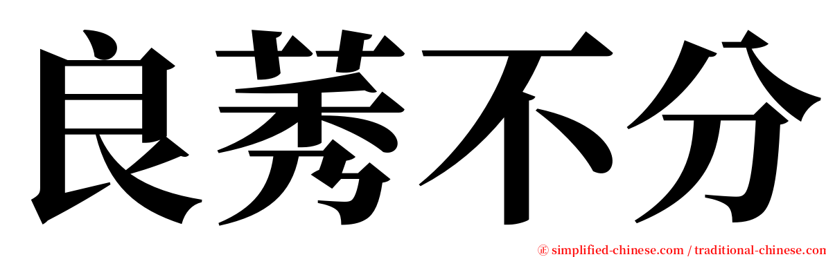 良莠不分 serif font